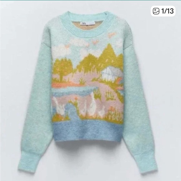 Zara Jacquard Knit Intarsia Countryside Goose Geese Sweater Blogger Favorite - Picture 9 of 15